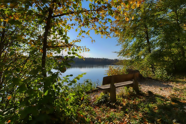 轮比赛集锦 轮比赛集锦