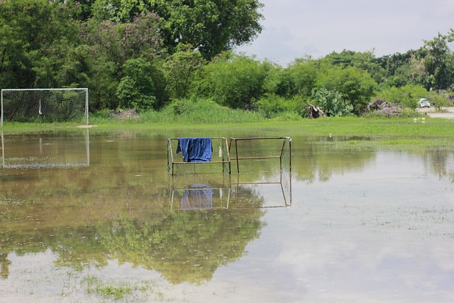 的个人表演 的个人表演