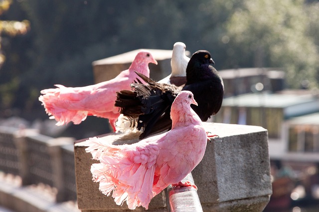 场上的运筹 场上的运筹