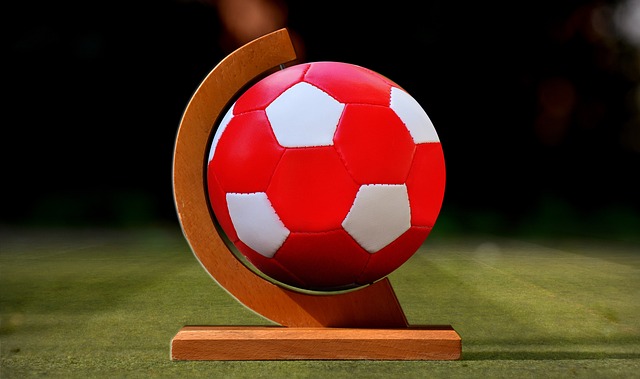 鹈鹕的影响 鹈鹕的影响