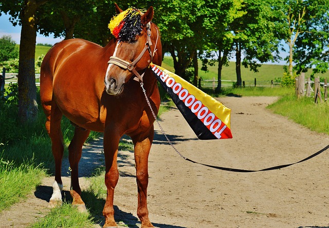 了他的前東 了他的前東