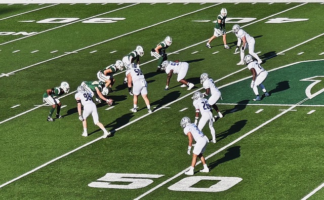 何选择沙拉 何选择沙拉